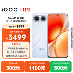 vivo iQOO Neo11至尊版 手机 12GB+512GB 乘风