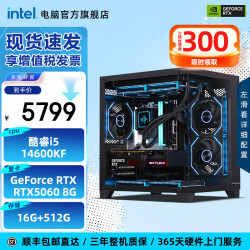 英特尔 14代酷睿i5 游戏台式电脑主机+RTX4060  Core i5-14600KF RTX 5060