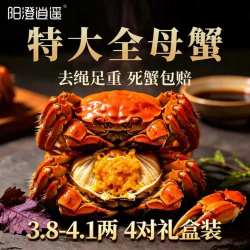 阳澄逍遥 大闸蟹 全母蟹 3.8-4.1两 8只装