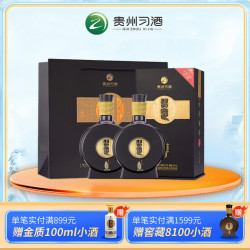 习酒 窖藏1988雅致版 酱香型白酒 53度 500mL*2瓶