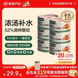 网易严选 网易天成 YANXUAN 网易严选 网易天成严选猫湿粮宠物零食浓汤大口肉罐头 鸡肉+三文鱼85g*6罐