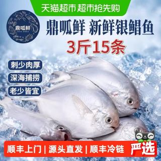 88VIP：鼎呱鲜 新鲜银鲳鱼深海捕捞舟山海鱼500g*3袋(100g-110g/条)