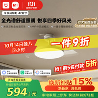 米家 9290041667 风扇灯 95W 白色 42英寸