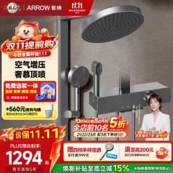 箭牌 K530 AE34216MZCP 淋浴花洒套装 灰色