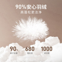 坦博尔 TA5330273D 90绒衬衫式羽绒服
