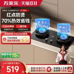 万家乐 AC5/AY8 天然气液化气双气源燃气灶