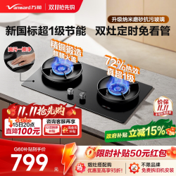 万和 G6 嵌入式燃气灶 天然气 双灶