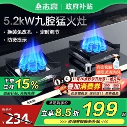 志高 双灶燃气灶