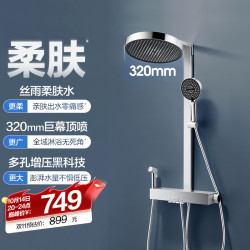 安华 丝雨出水全铜水路花洒套装 R8P
