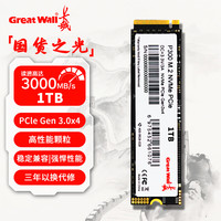 长城 SSD固态硬盘M.2接口(NVMe协议)PCIe3.0x4 P300系列台式笔记本通用硬盘畅玩游戏 P300-1TB