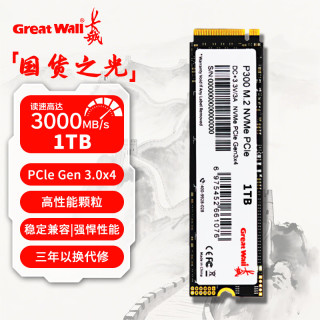 长城 SSD固态硬盘M.2接口(NVMe协议)PCIe3.0x4 P300系列台式笔记本通用硬盘畅玩游戏 P300-1TB