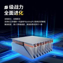 致态 长江存储 4TB SSD固态硬盘 NVMe M.2接口 TiPlus7100s系列