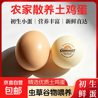京喜自营-专用品牌 林下散养初生小蛋介意慎拍单枚30-35g新鲜鸡蛋慢养谷饲土鸡蛋现捡 土鸡蛋20枚