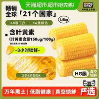 88VIP：北纬47° 即食玉米段 低脂粗粮款 1.5kg 整袋装