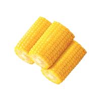 北纬47° 黄糯玉米段