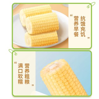 北纬47° 黄糯玉米段