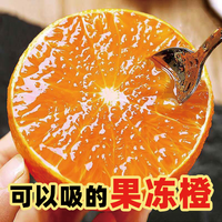 异果恋 果冻橙 5斤