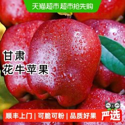 自然搭档 顺丰上门甘肃天水花牛苹果新鲜水果当季整箱宝宝辅食红蛇粉面苹果
