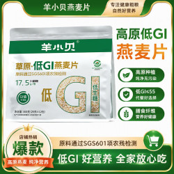羊小贝 内蒙古高原低GI燕麦片袋装300g纯营养代餐早餐营养谷物早餐 燕麦片*1袋