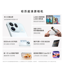 OPPO Find X10 浅钛 12GB+512GB 手机