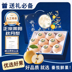 秦悦仙果鲜 山东莱阳秋月梨新鲜水果冰糖梨送礼 净重1斤  单果250g+