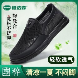 维达森 男款夏季网面透气舒适软底不累脚中老年网鞋 黑色 43