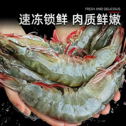 多小贝 新鲜王牌大虾鲜活速冻基围虾海虾冷冻1500g