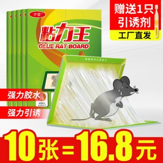 夕姿 强力粘鼠板 10片送一支引诱剂