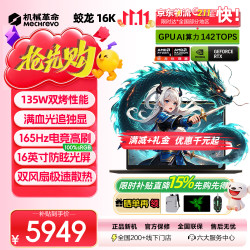 机械革命 蛟龙 16PRO2026旗舰锐龙满血独显电竞高能游戏本