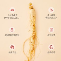 采芝林 广药采芝林4-5年足龄新鲜整根煲汤保鲜人参