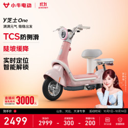 小牛电动 Y芝士One 电动自行车