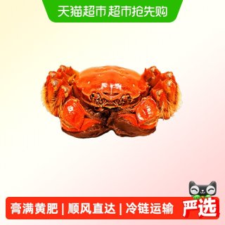 值友专享、88VIP:阳澄格调【活蟹】苏州精品大闸蟹 全母2.8-3.1两 8只礼盒