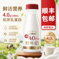 每日鲜语 鲜牛奶4.0g 250mL*10瓶 新鲜发货