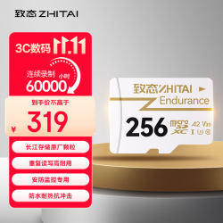 致态 长江存储 256GB TF存储卡 Endurance行车记录仪&家庭商用安防监控摄像专用