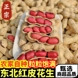 黄六爷 东北红皮花生带壳3斤