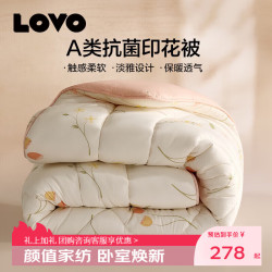乐蜗家纺 罗莱家纺 A类抗菌冬被 温柔恬梦 150*215cm