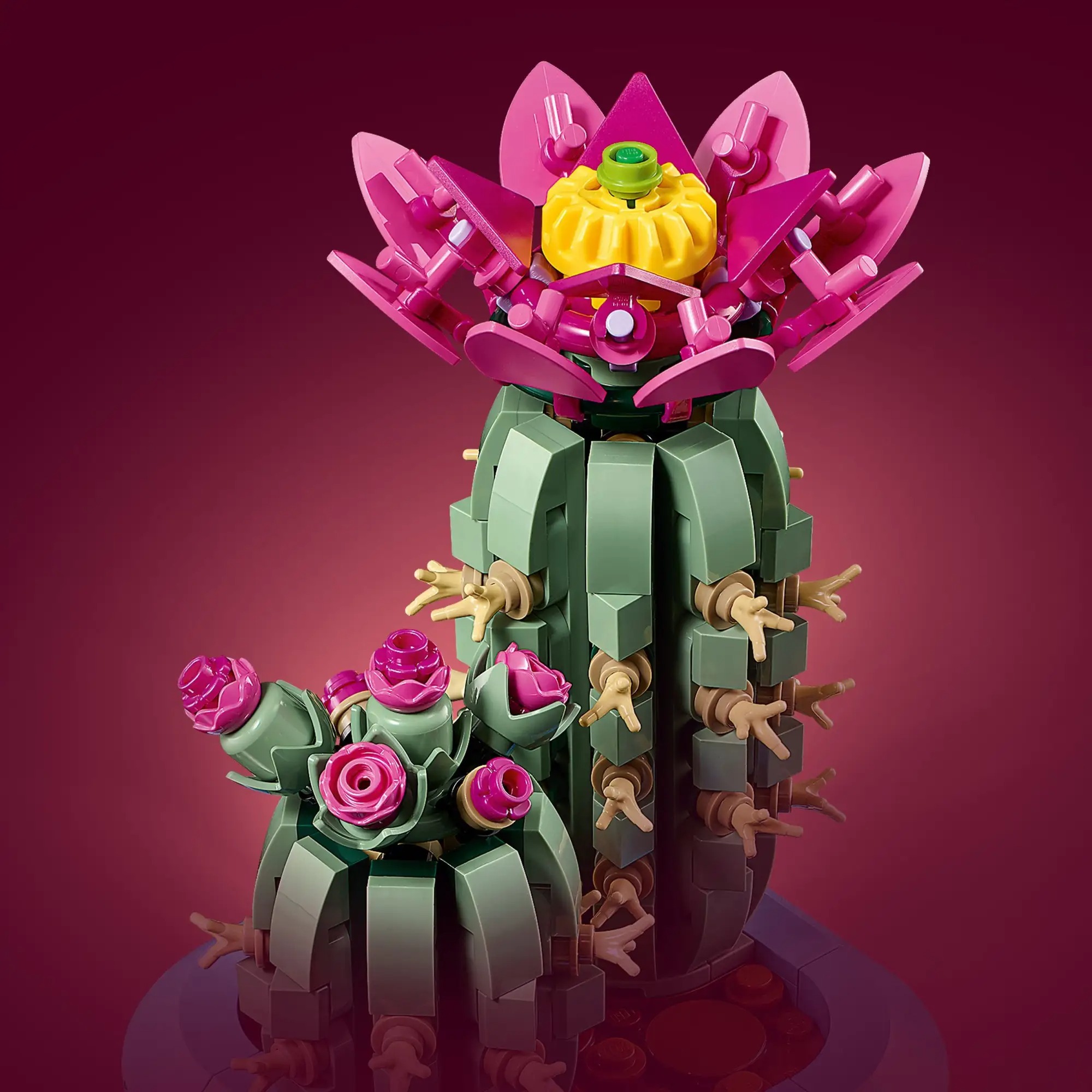 LEGO 乐高 花植系列 11509 开花的仙人掌