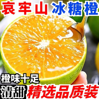 京农超 云南哀牢山冰糖橙 薄皮青皮橙子 5斤商超大果 净重4.5斤