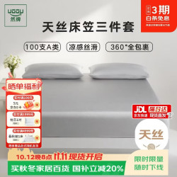 然牌 夏季冰丝三件套 莱赛尔天丝A类凉感床笠枕套一对银霜灰 1.5米床