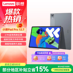 联想 小新PadPro12.7 2025款平板电脑 2.9K高刷全面屏 娱乐学习 10200mAh 12+256G大象灰