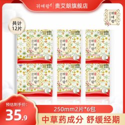 贵艾朗 韩国进口干爽透气棉柔亲肤便携旅行日用卫生巾250mm2片6包