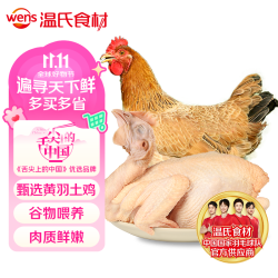 温氏 供港三黄鸡 1kg