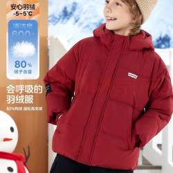 Levi's 加绒加厚重磅羽绒服