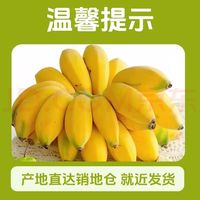 京鲜生 福建天宝香蕉 5斤装 28-35根  生鲜水果 源头直发