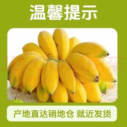 京鲜生 福建天宝香蕉 5斤装 28-35根  生鲜水果 源头直发