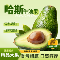 智宙 金奖·哈斯牛油果 试吃尝鲜 2枚普装