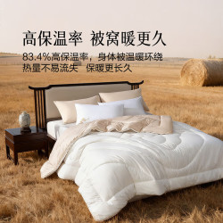 水星家纺 A类澳洲进口羊毛冬厚被  200cm×230cm