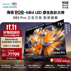 海信 E8S Pro系列 75E8S Pro 液晶电视 75英寸 固定挂架