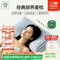 然牌 荞麦枕头 100%全荞麦壳枕头颈椎枕纯棉枕套 蓝格单只装35x55cm