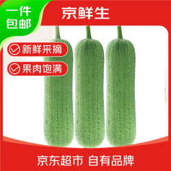 京鲜生 京百味 台湾短棒肉丝瓜 5斤装 新鲜蔬菜 源头直发